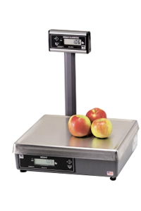 Avery Berkel Weigh-Tronix 6720 POS Scale